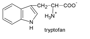 tryptofan