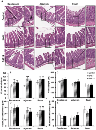 journal.pone.0106335.g002