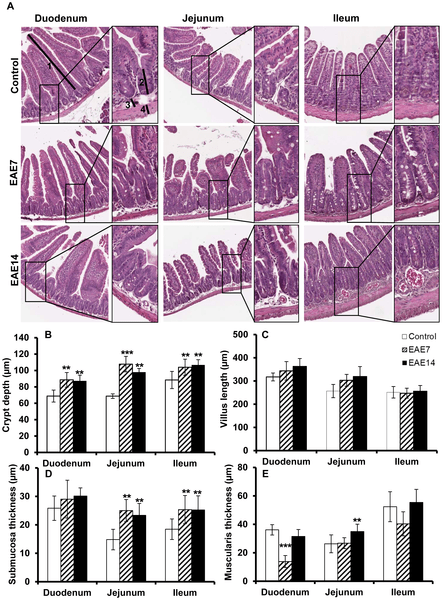 journal.pone.0106335.g002