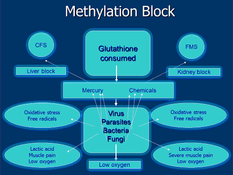 methylation-block